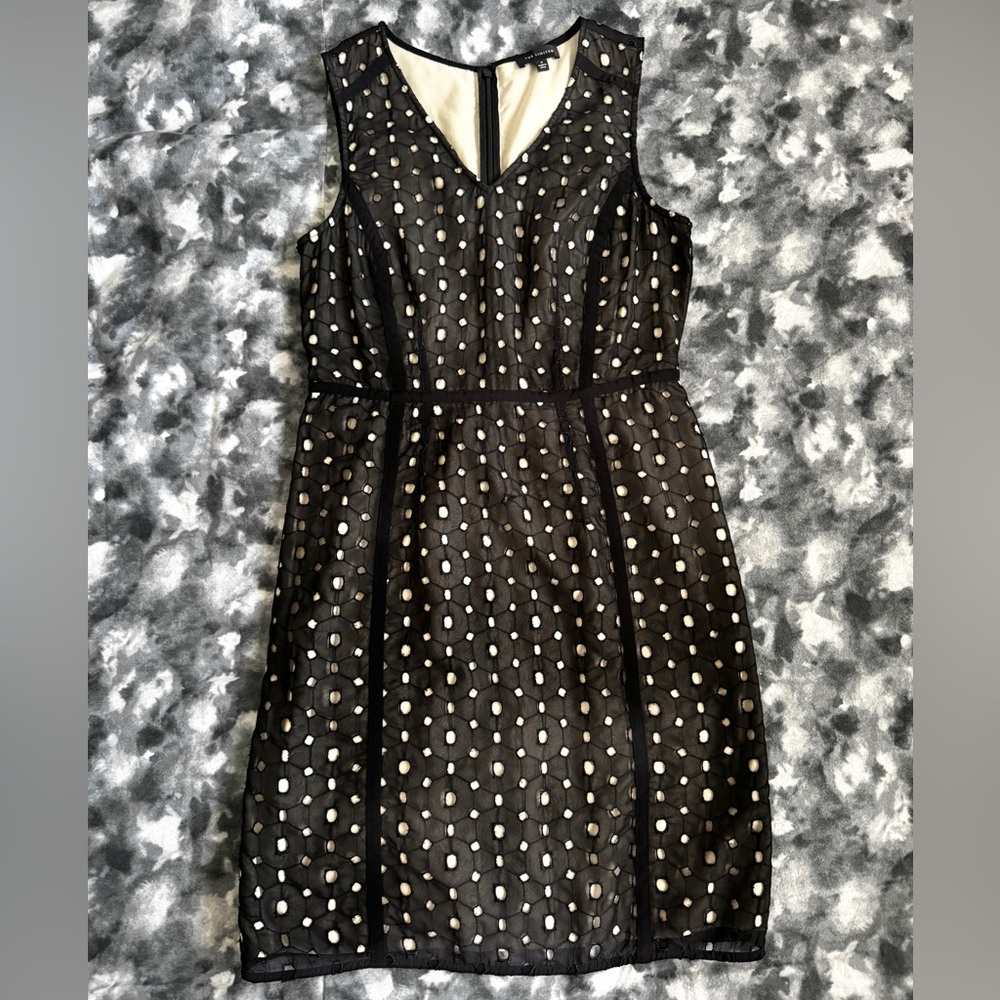 The Limited Black and Cream Eyelet Dress